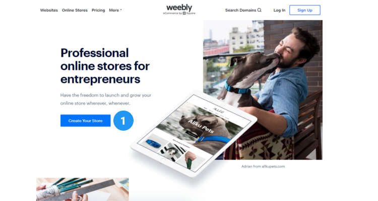 weebly online store 21