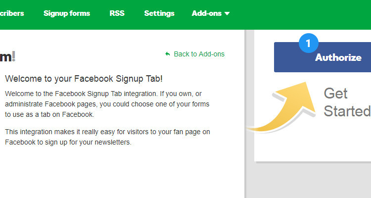 Add newsletter signup form to Facebook page 03