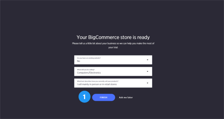 04 free & paid themes