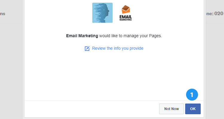 Add newsletter signup form to Facebook page 05