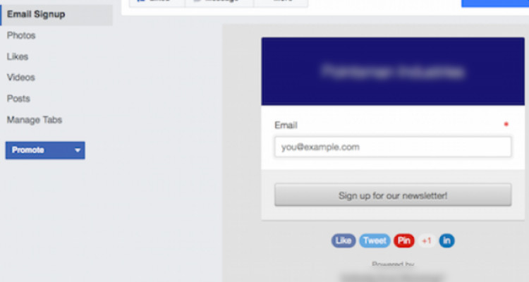 Add newsletter signup form 07
