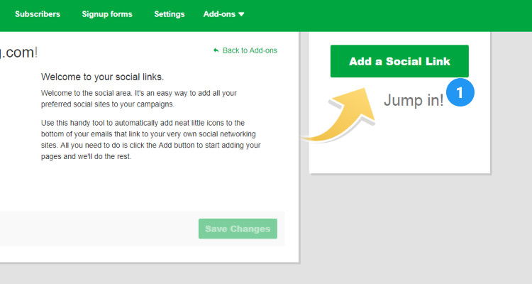 Newsletter Signup 04