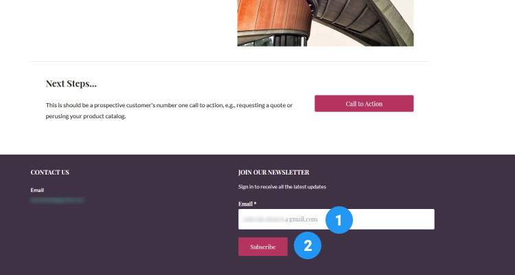 wordpress newsletter widget 02