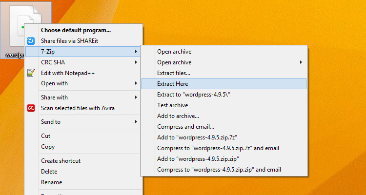 install wordpress 01
