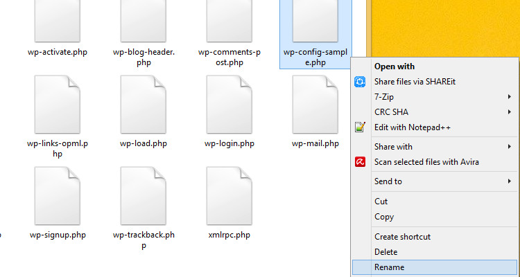 install wordpress 03