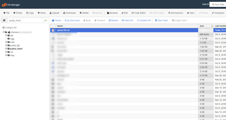 07 online file manager