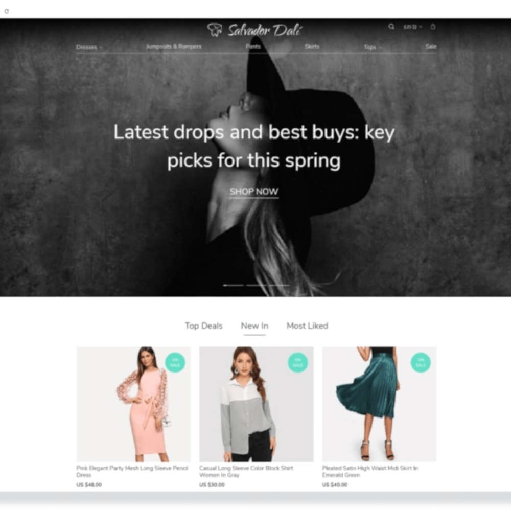 alidropship custom store 01