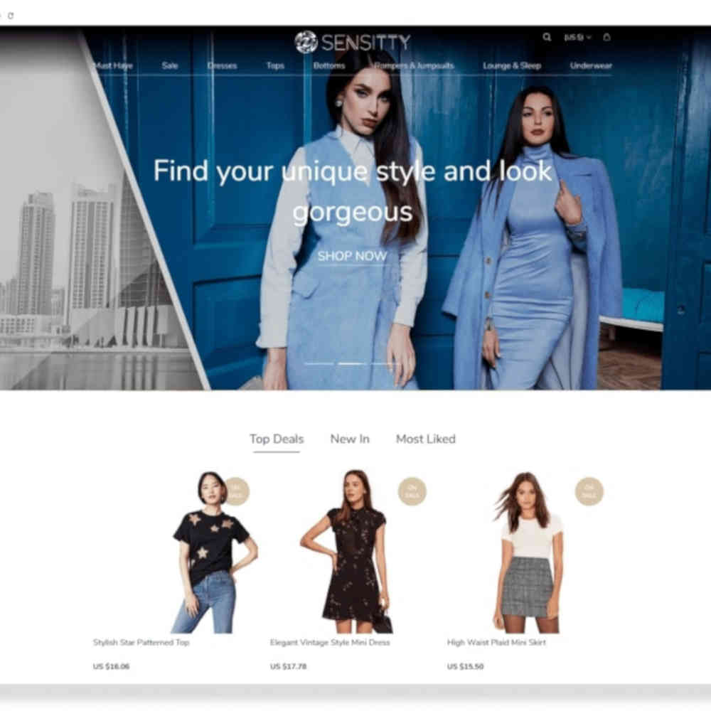 alidropship custom store 02