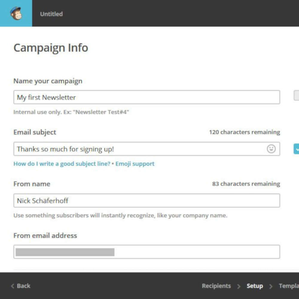 mailchimp newsletter subscription 02