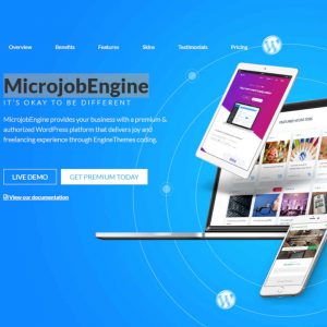 microjobengine wordpress theme 01