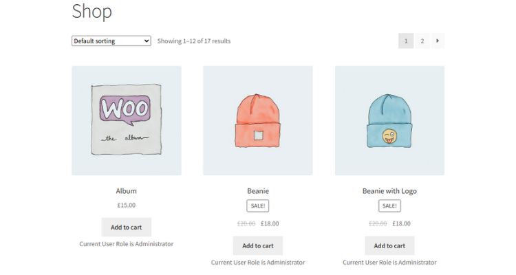 Step 9 - role-based pricing WooCommerce Testing Checklist